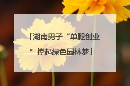 湖南男子“单腿创业”撑起绿色园林梦