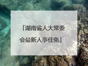 湖南省人大常委会最新人事任免