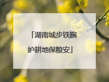 湖南城步铁腕护耕地保粮安