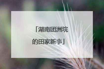 湖南团洲垸的田家新事