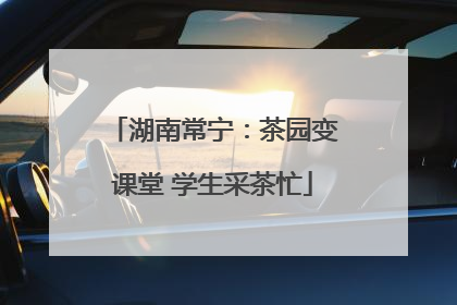 湖南常宁：茶园变课堂 学生采茶忙