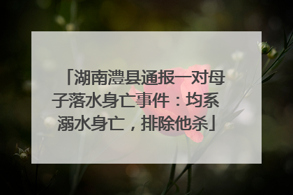 湖南澧县通报一对母子落水身亡事件：均系溺水身亡，排除他杀