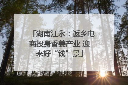 湖南江永：返乡电商投身香姜产业 迎来好“钱”景