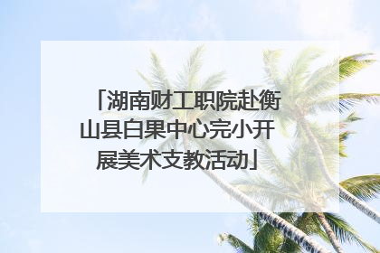 湖南财工职院赴衡山县白果中心完小开展美术支教活动