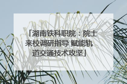 湖南铁科职院：院士来校调研指导 赋能轨道交通技术攻坚