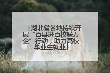 湖北省各地持续开展“百县进百校联万企”行动，助力高校毕业生就业
