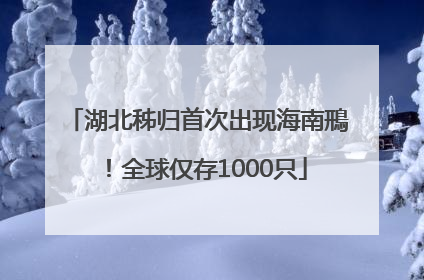 湖北秭归首次出现海南鳽！全球仅存1000只