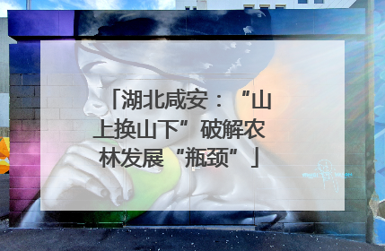 湖北咸安：“山上换山下”破解农林发展“瓶颈”