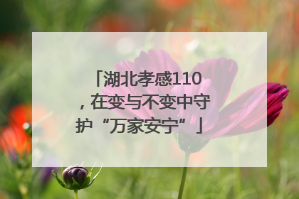 湖北孝感110，在变与不变中守护“万家安宁”