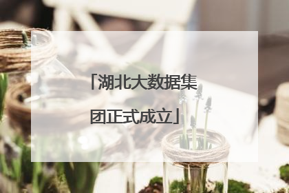 湖北大数据集团正式成立