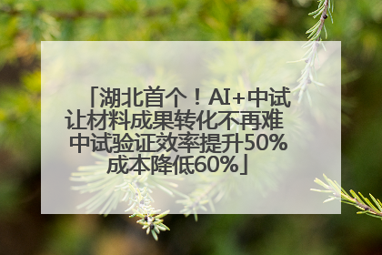 湖北首个！AI+中试让材料成果转化不再难 中试验证效率提升50%成本降低60%