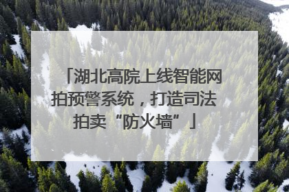 湖北高院上线智能网拍预警系统，打造司法拍卖“防火墙”