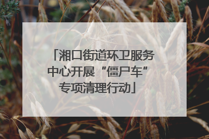 湘口街道环卫服务中心开展“僵尸车”专项清理行动