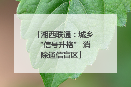 湘西联通：城乡“信号升格” 消除通信盲区