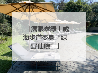 满眼翠绿！威海步道变身“绿野仙踪”