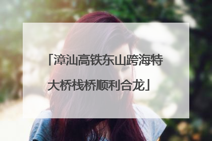 漳汕高铁东山跨海特大桥栈桥顺利合龙