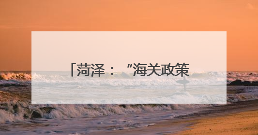 菏泽：“海关政策直通车”自贸协定政策专题宣讲会举行