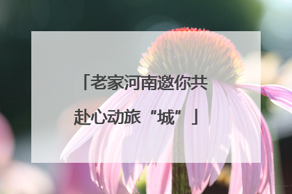 老家河南邀你共赴心动旅“城”