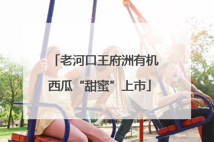 老河口王府洲有机西瓜“甜蜜”上市