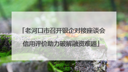 老河口市召开银企对接座谈会 信用评价助力破解融资难题