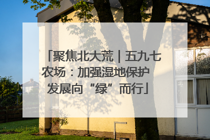 聚焦北大荒｜五九七农场：加强湿地保护 发展向“绿”而行