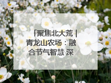 聚焦北大荒｜青龙山农场：融合节气智慧 深耕安全沃土