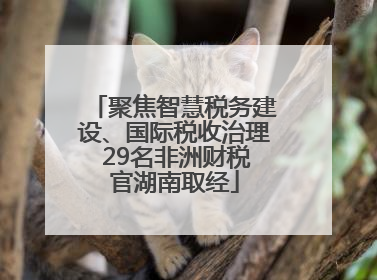 聚焦智慧税务建设、国际税收治理 29名非洲财税官湖南取经