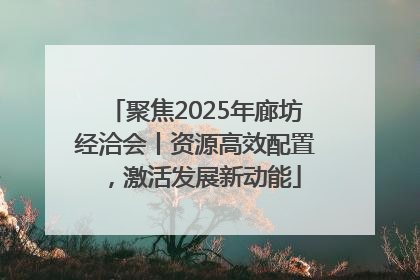 聚焦2025年廊坊经洽会丨资源高效配置，激活发展新动能