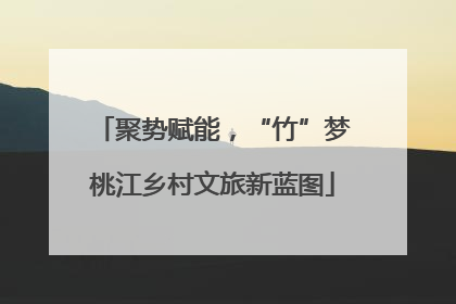 聚势赋能，“竹”梦桃江乡村文旅新蓝图