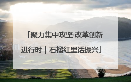 聚力集中攻坚·改革创新进行时｜石榴红里话振兴