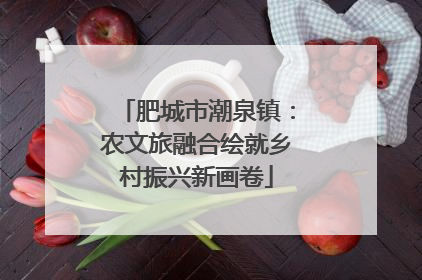 肥城市潮泉镇：农文旅融合绘就乡村振兴新画卷