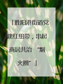 胜阳港街道党建红纽带，串起商居共治 “烟火圈”