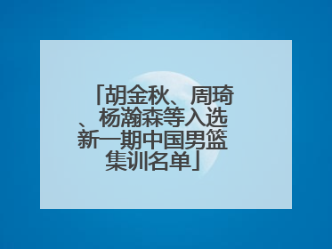 胡金秋、周琦、杨瀚森等入选新一期中国男篮集训名单
