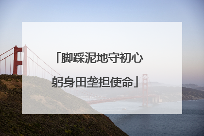 脚踩泥地守初心 躬身田垄担使命