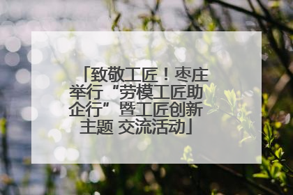 致敬工匠！枣庄举行“劳模工匠助企行”暨工匠创新主题 交流活动