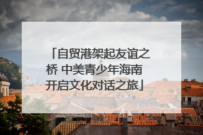 自贸港架起友谊之桥 中美青少年海南开启文化对话之旅