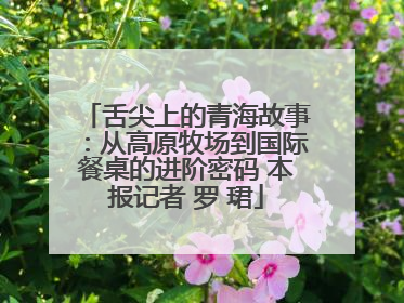 舌尖上的青海故事：从高原牧场到国际餐桌的进阶密码 本报记者 罗 珺