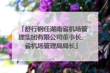 舒行钢任湖南省机场管理集团有限公司董事长、省机场管理局局长