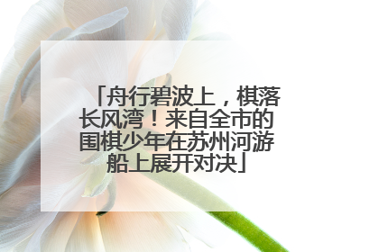 舟行碧波上，棋落长风湾！来自全市的围棋少年在苏州河游船上展开对决