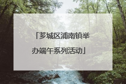 芗城区浦南镇举办端午系列活动