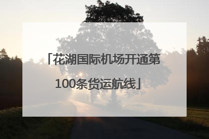 花湖国际机场开通第100条货运航线