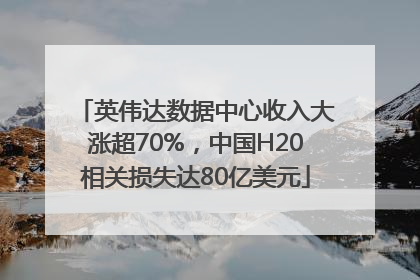 英伟达数据中心收入大涨超70%，中国H20相关损失达80亿美元