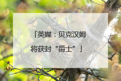 英媒：贝克汉姆将获封“爵士”