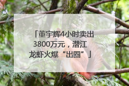 董宇辉4小时卖出3800万元，潜江龙虾火爆“出圈”
