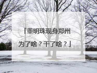 董明珠现身郑州 为了啥？干了啥？