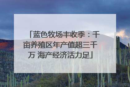 蓝色牧场丰收季：千亩养殖区年产值超三千万 海产经济活力足