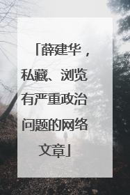 薛建华，私藏、浏览有严重政治问题的网络文章