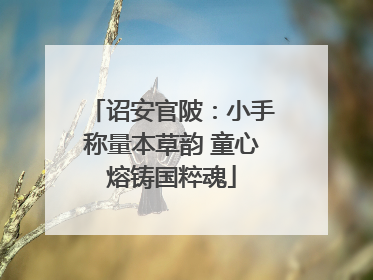 诏安官陂：小手称量本草韵 童心熔铸国粹魂