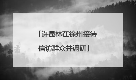 许昆林在徐州接待信访群众并调研
