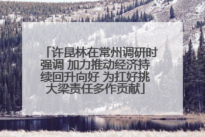许昆林在常州调研时强调 加力推动经济持续回升向好 为扛好挑大梁责任多作贡献